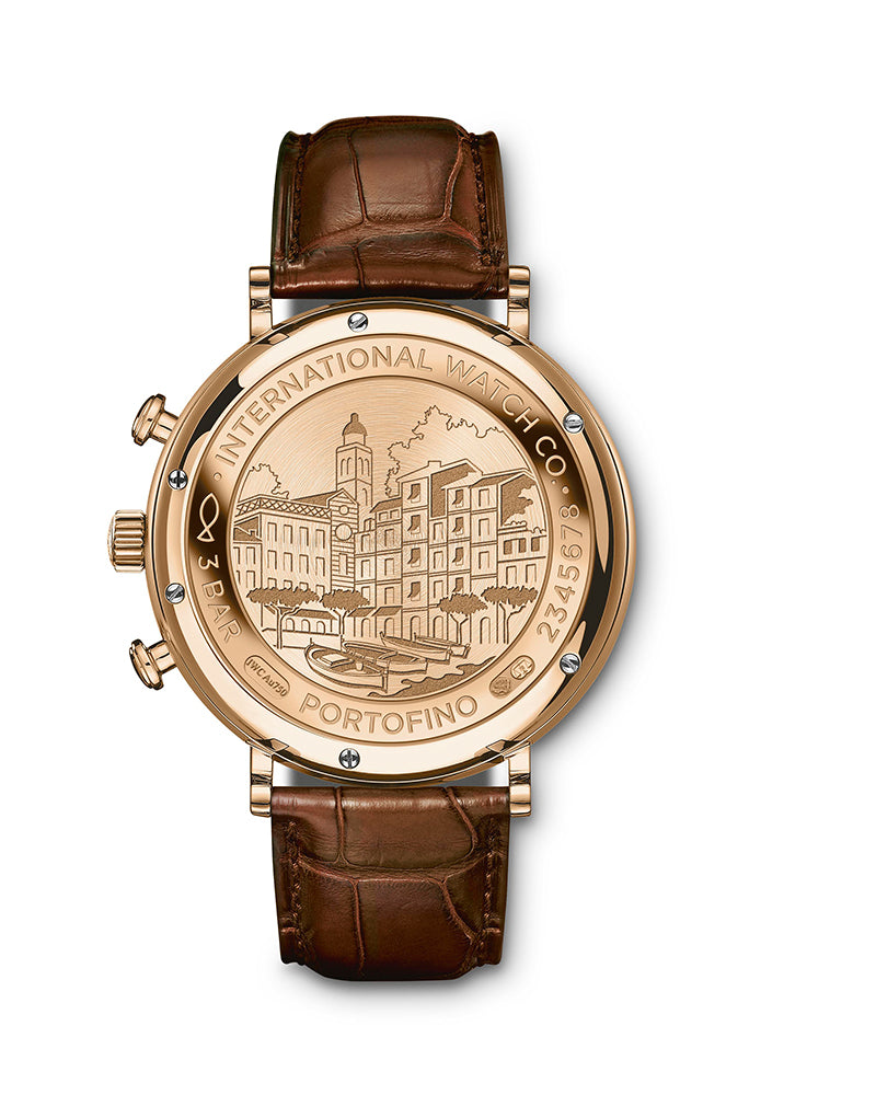 IW356504-Portofino Automatic | Watches women leather, Classic watches men,  Watches for men